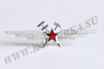 Знак «Специалист инженерно-авиационной службы (ИАС)»