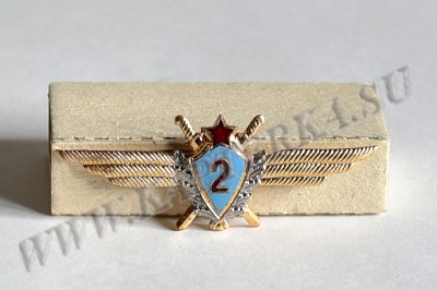 Знак «Военный летчик 2-го класса»